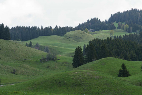 Vue sur les vallons au départ de l\'Anquerne
