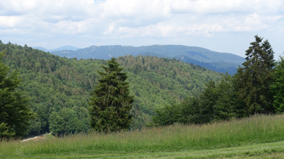 Vue sur les Vosges depuis le col du Lochberg