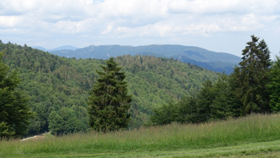 Les Vosges