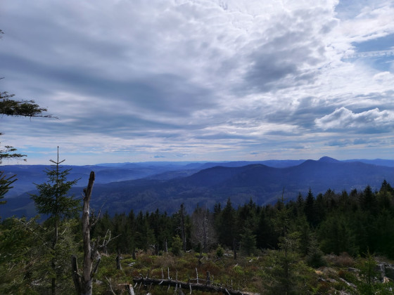 Vue sur les Vosges et le haute de la Vallée de la Bruche