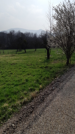 Mont Saine-Odile