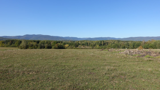 Vue sur les Vosges la Planche des Belles Filles et le ballon Alsace