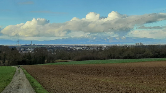 Vue sur les Vosges
