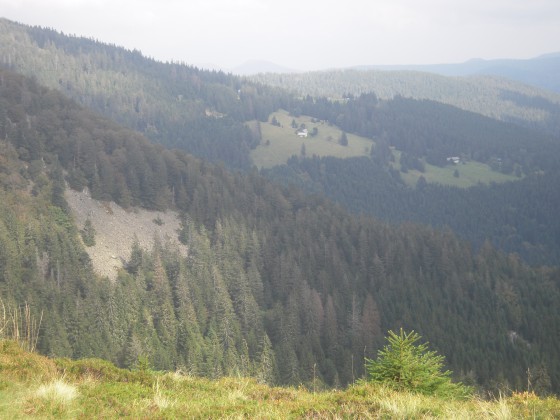 Vue sur les Vosges