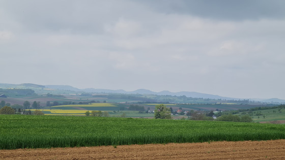 Vue sur les Vosges