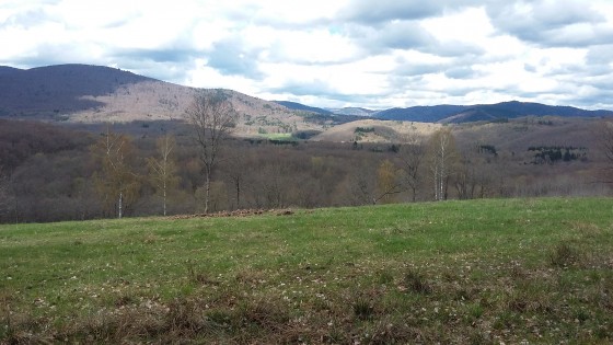 Vue sur les Vosges