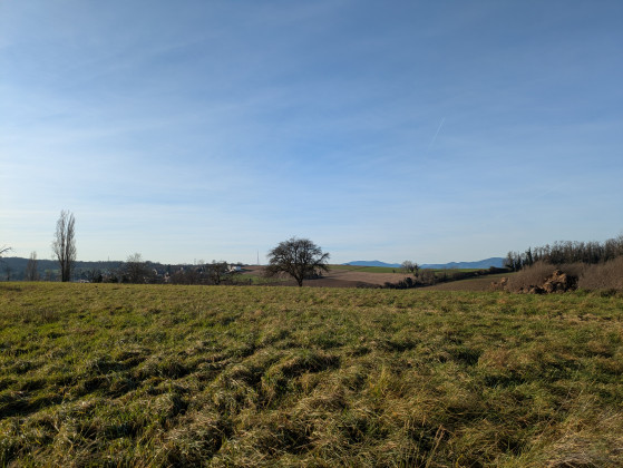 Vue sur les Vosges