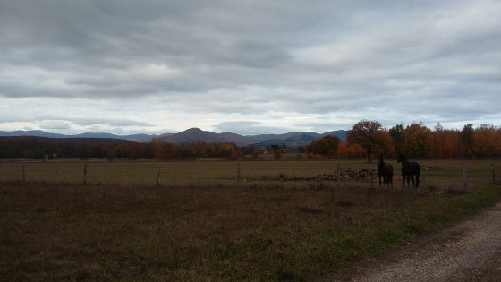 Vue sur les Vosges