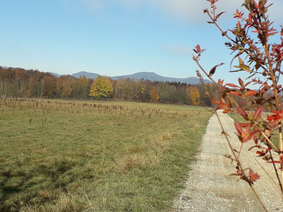 Vue sur les Vosges