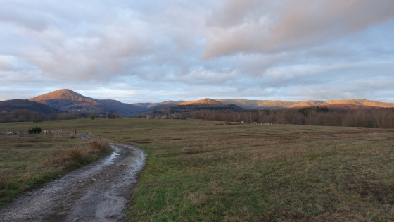 Vue sur les Vosges