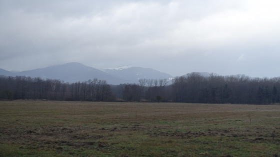Vue sur les Vosges