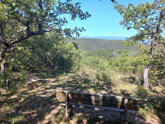 Vue sur Lure depuis P&eacute;licier