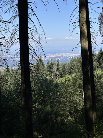 Vue sur Lyon et le Bugey
