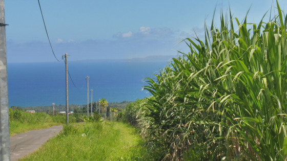 Vue sur Marie Galante et Cambrefort