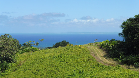 Vue sur Marie Galante