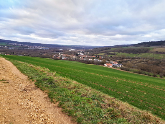 Vue sur Millery