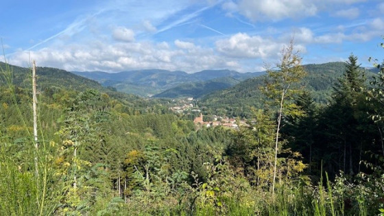 Vue sur Niederbruck Vue sur Niederbruck