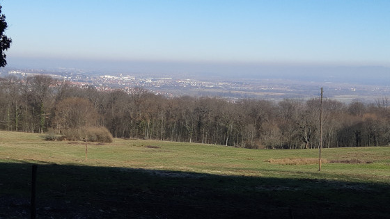 Vue sur Obernai et la vallée alsacienne