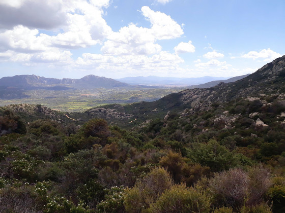 vue sur OLBLIA