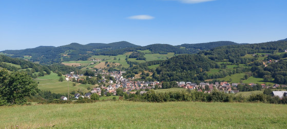 Vue sur Orbey depuis le Sacré-Coeur