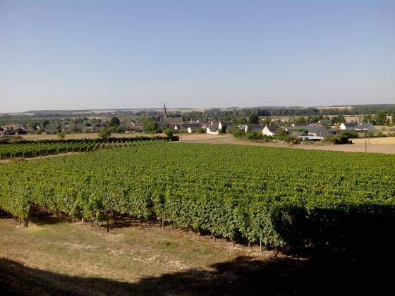 Vue sur Panzoult