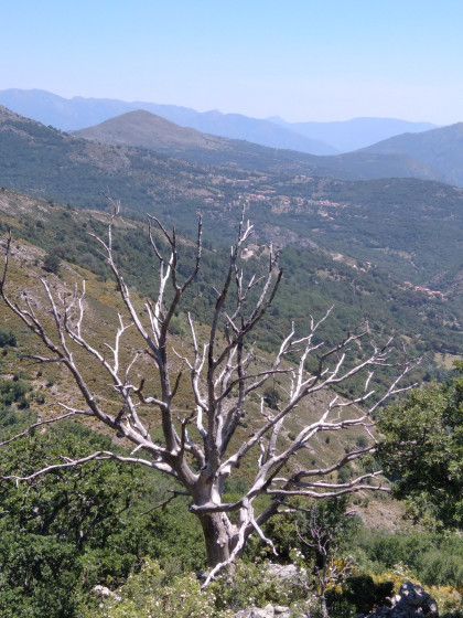 Vue sur Pioggiola