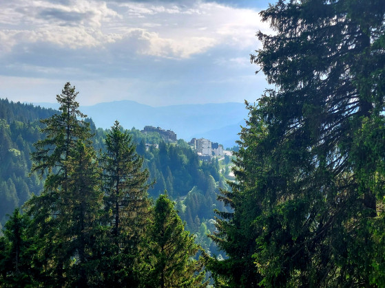 Vue sur Prapoutel