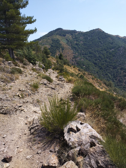vue sur première ascension col du Fageas - montagne du Liron