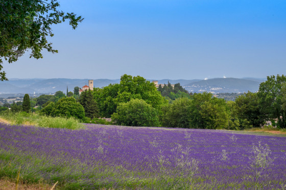 Vue sur Puygiron et ses champs de lavande