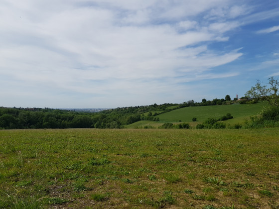 vue sur région toulousaine