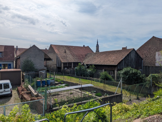 Vue sur Réguisheim