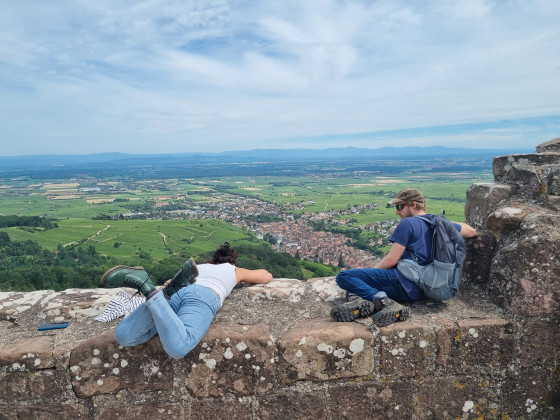 Vue sur Ribeauvillé depuis le château Saint-Ulrich.