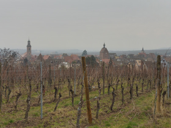 Vue sur RIQUEWIHR