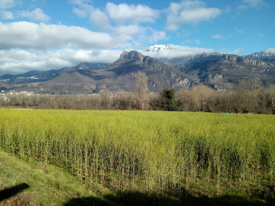 Vue sur Rochebrune