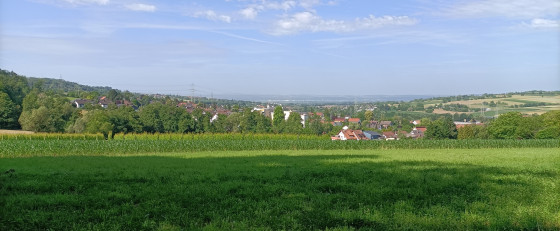 Vue sur Rümmingen et les villages alsaciens