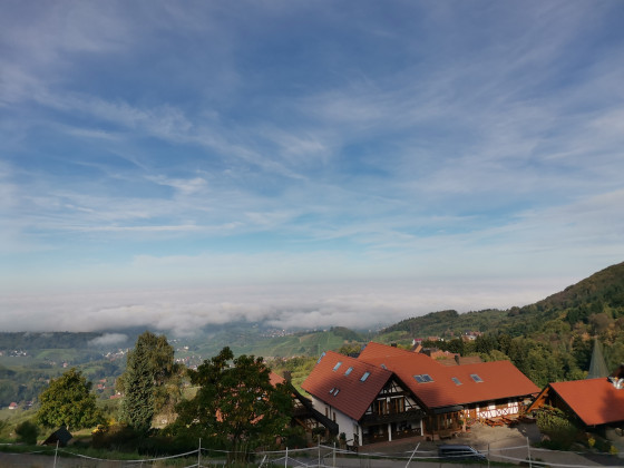 Vue sur Sasbachwalden