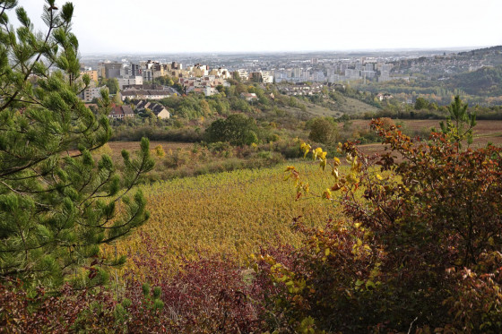 Vue sur Talant