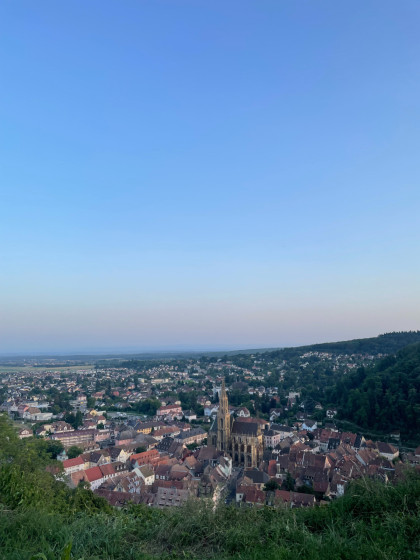 Vue sur Thann depuis l\'Engelbourg