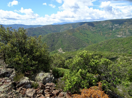 vue sur Thines du Croix Blanche