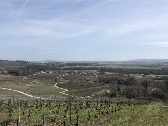 Vue sur Trigny et Reims