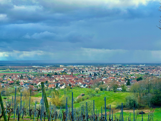 Vue sur Uffholtz