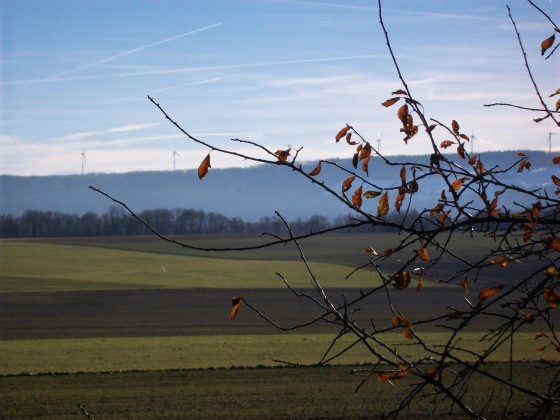 Vue des éoliennes du Lomont
