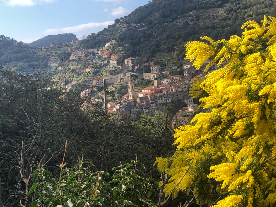 Vue sur Villabona