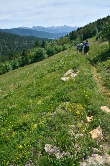 Vue sur Villard