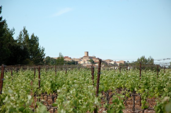 Vue sur Villepassans