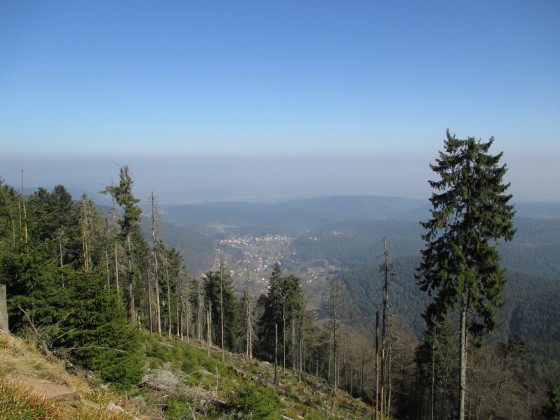 Vue sur Wangenbourg