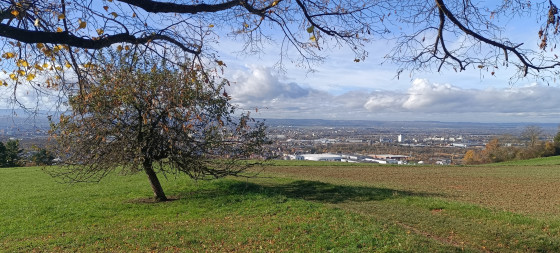 Vue sur Weil am Rhein, la plaine d'Alsace