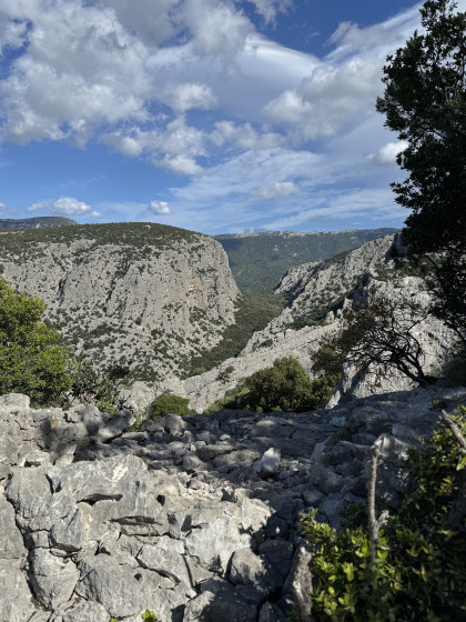 Vue un peu avant le sommet