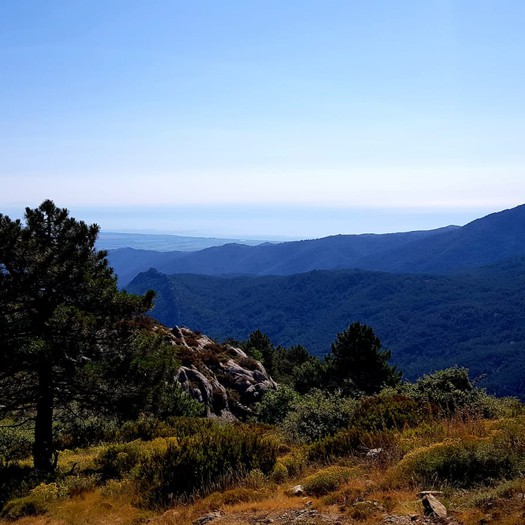 Vue vallée