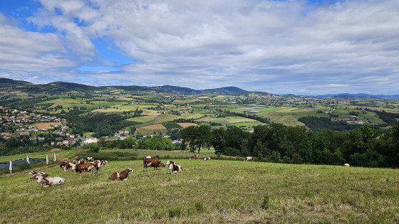 Vue vers Bessenay